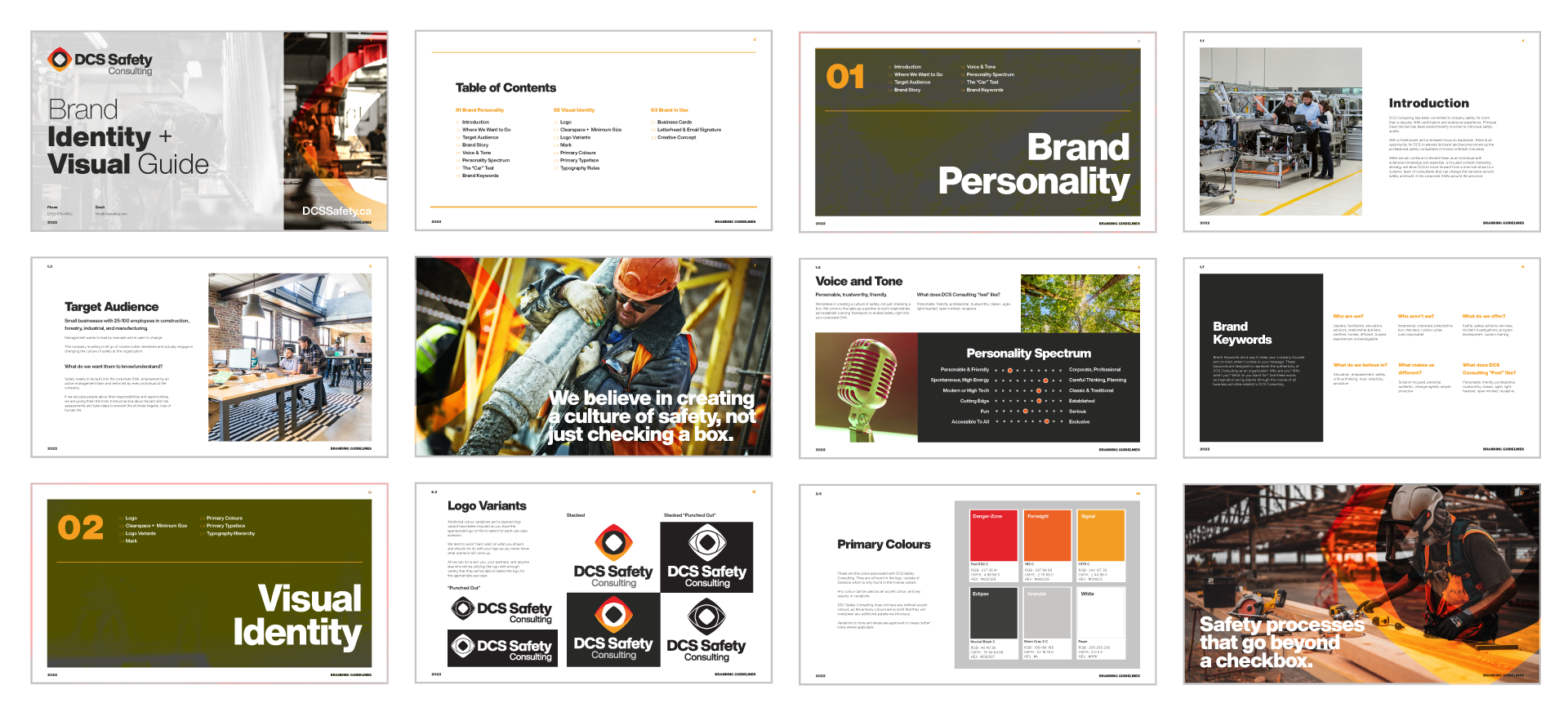 DCS brand guidelines